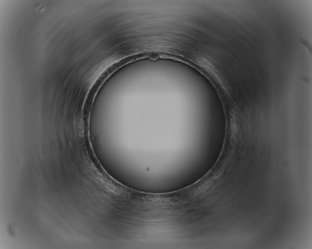 X0000103470924200809121625