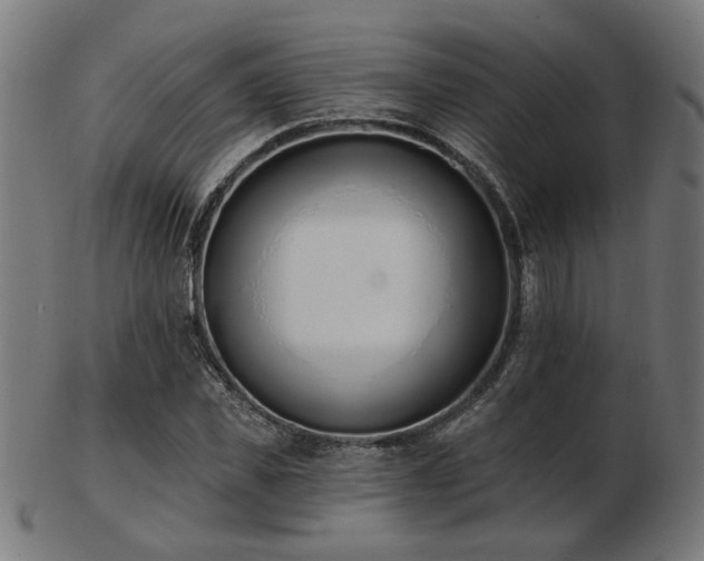 X0000103470925200809121625