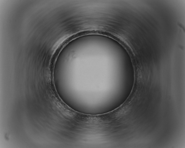 X0000103470927200809121625