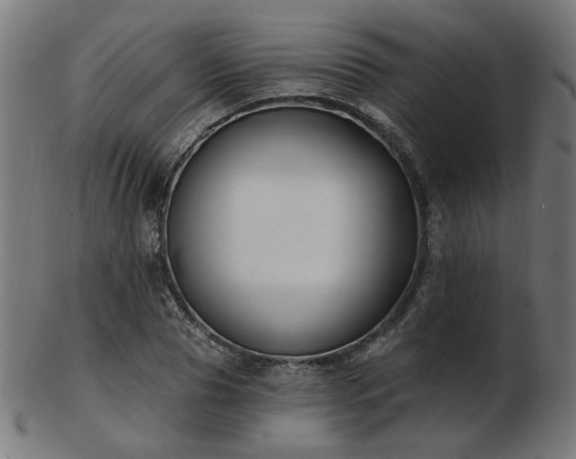 X0000103470929200809121625