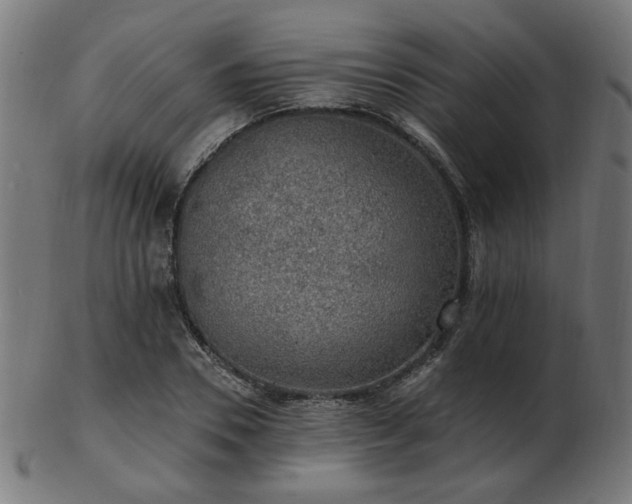 X0000103470930200809121625