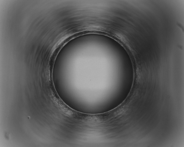 X0000103470931200809121625