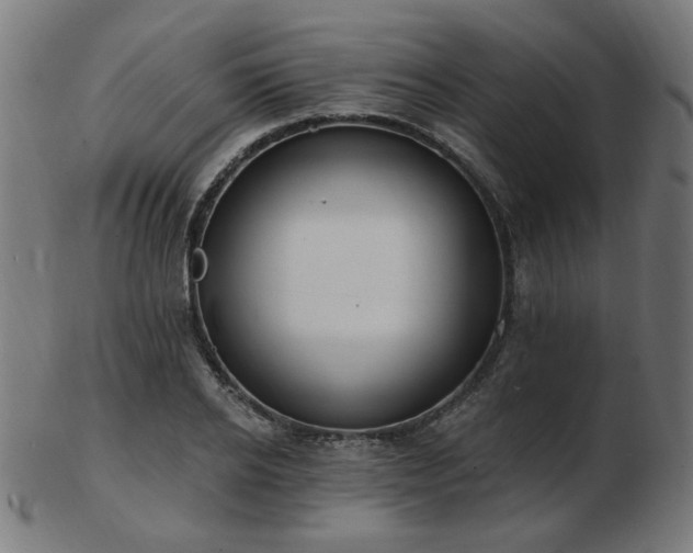 X0000103470934200809121625