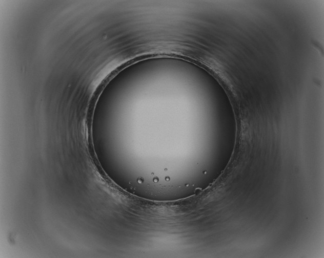 X0000103470936200809121625