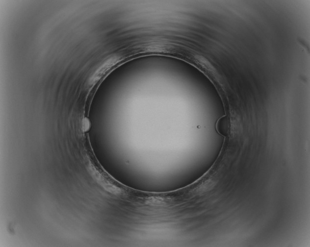 X0000103470938200809121625