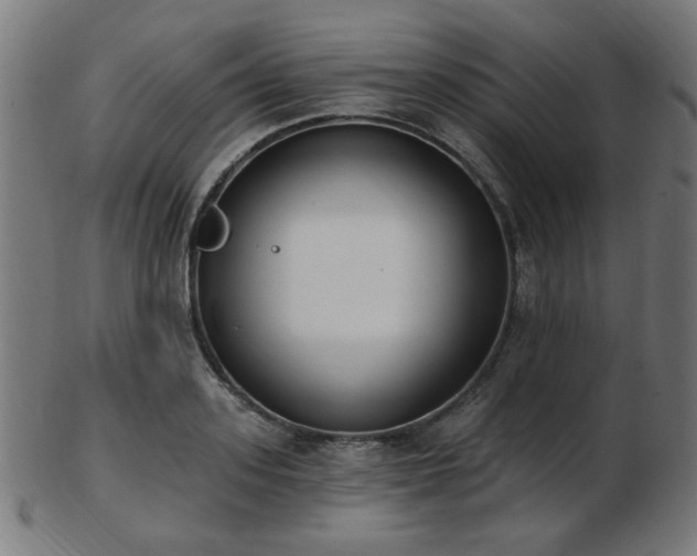 X0000103470939200809121625