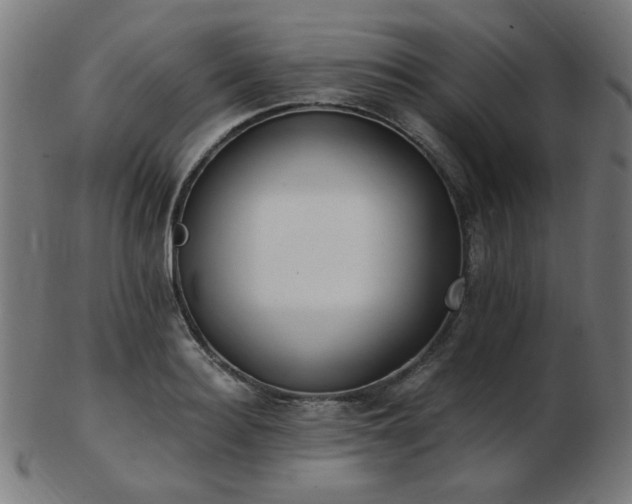 X0000103470940200809121625