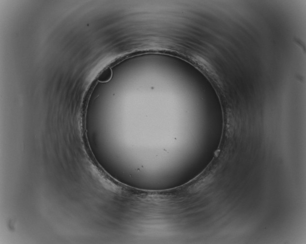 X0000103470942200809121625