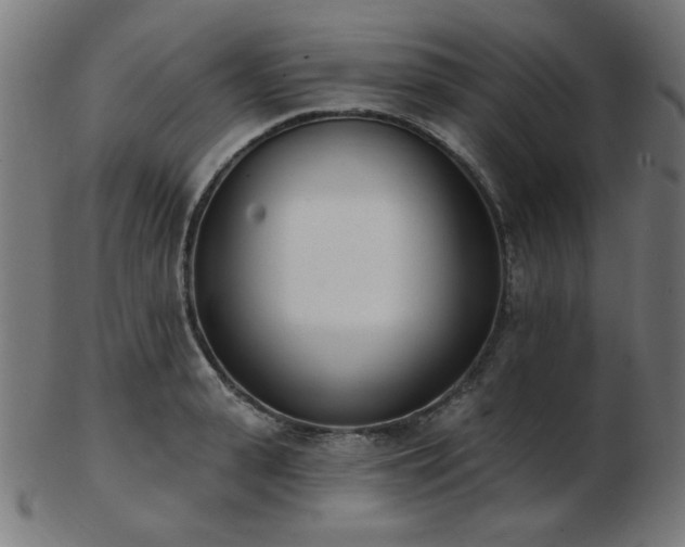 X0000103470943200809121625