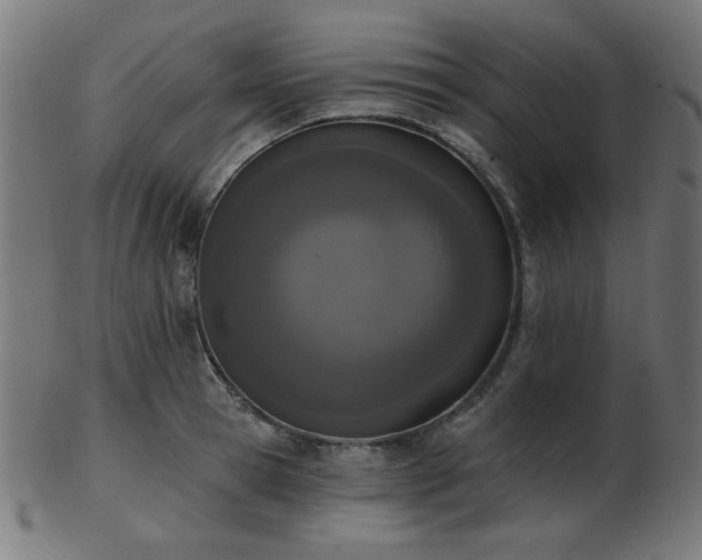 X0000103470945200809121625