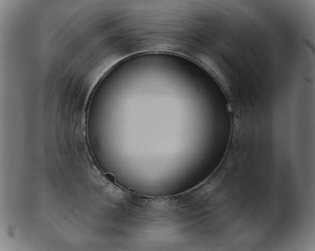 X0000103470948200809121625