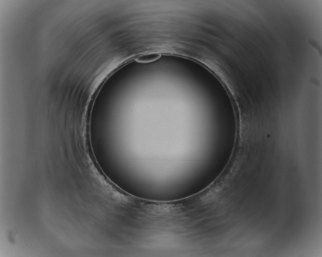 X0000103470949200809121625