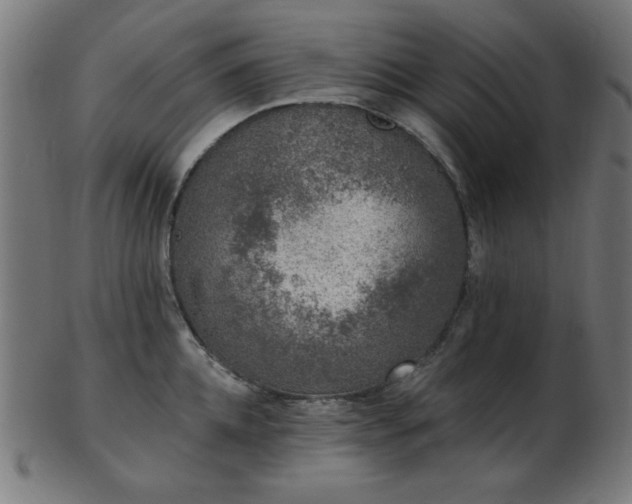 X0000103470952200809121625