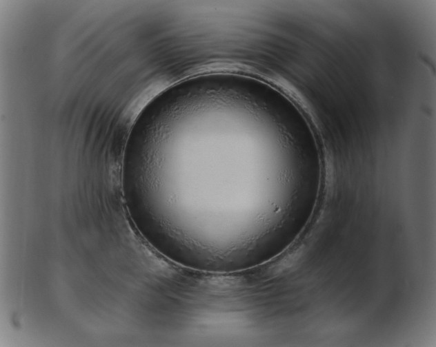 X0000103470953200809121625