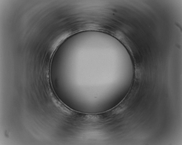 X0000103470954200809121625