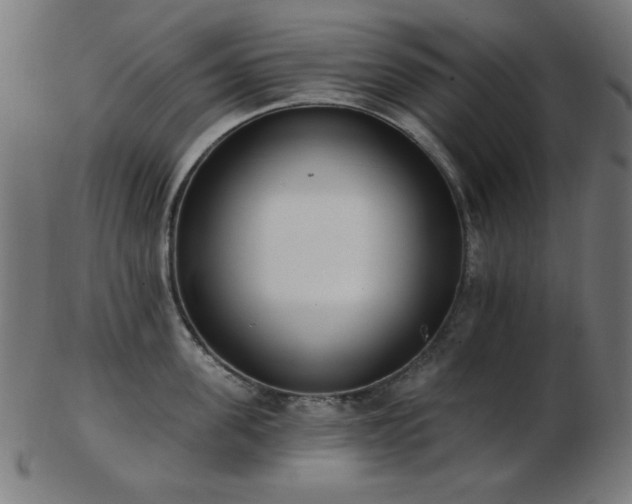 X0000103470955200809121625