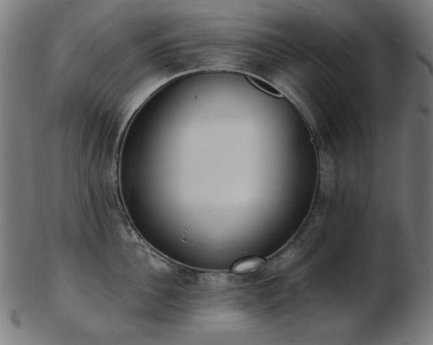 X0000103470956200809121625