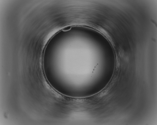 X0000103470958200809121625