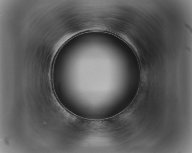 X0000103470959200809121625