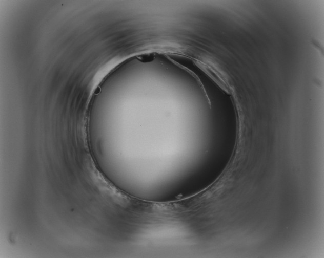 X0000103470960200809121625