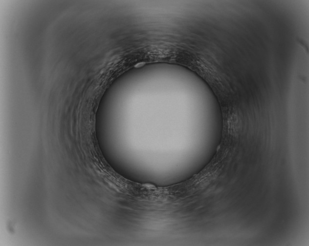 X0000103470961200809121625