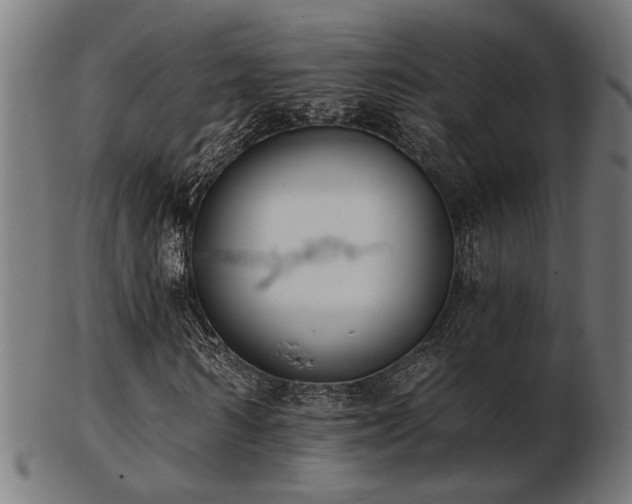 X0000103470962200809121625