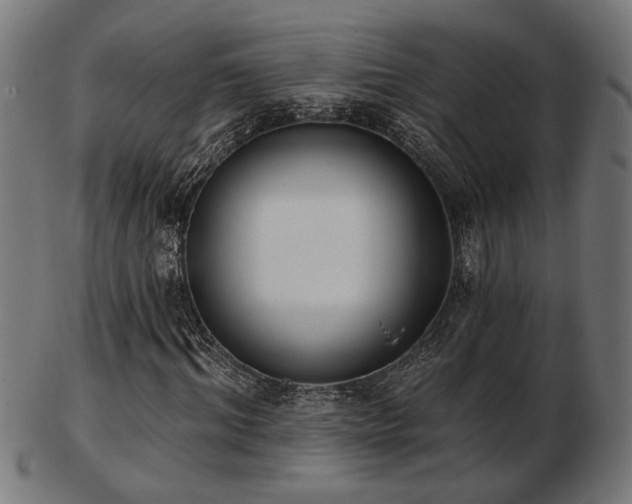 X0000103470964200809121624