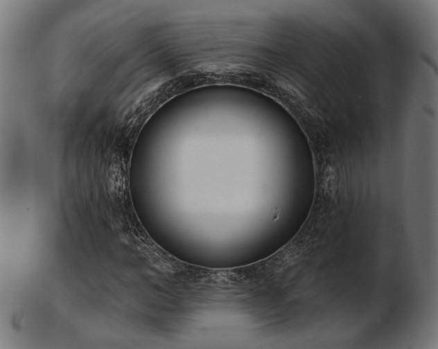 X0000103470966200809121624