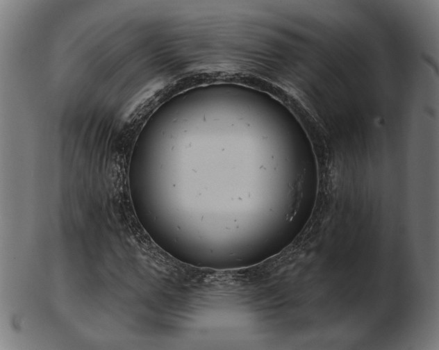 X0000103470967200809121624