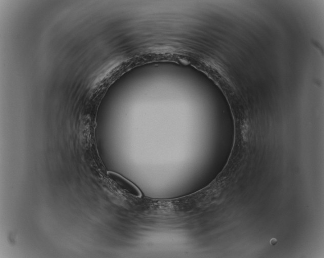 X0000103470968200809121624