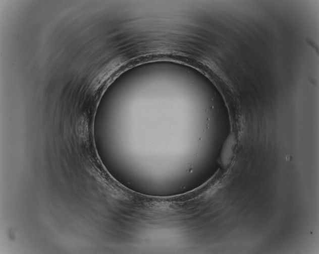 X0000103470969200809121624