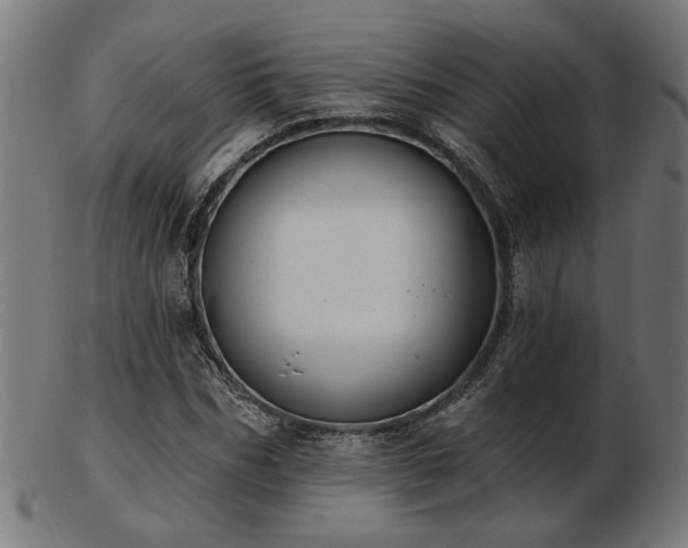 X0000103470970200809121624