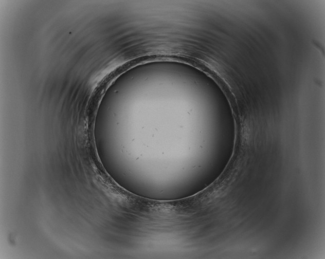 X0000103470971200809121624