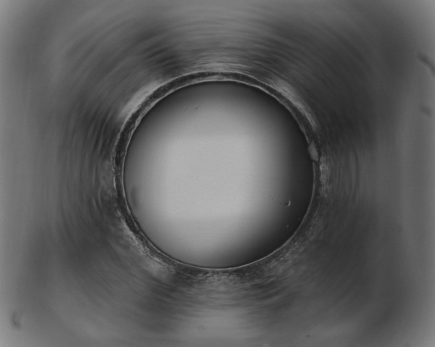 X0000103470972200809121624