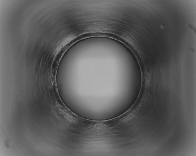 X0000103470974200809121624