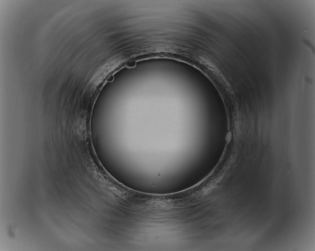 X0000103470977200809121624