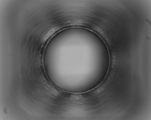 X0000103470978200809121624