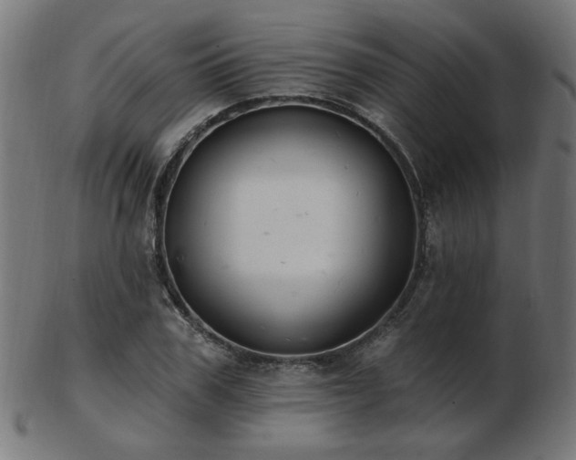 X0000103470979200809121624