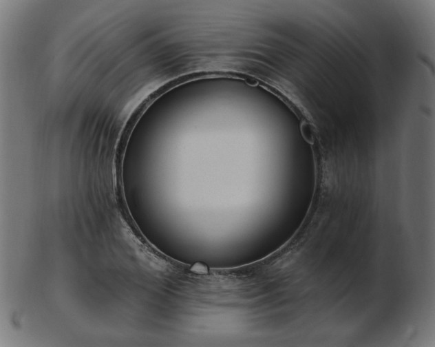 X0000103470980200809121624