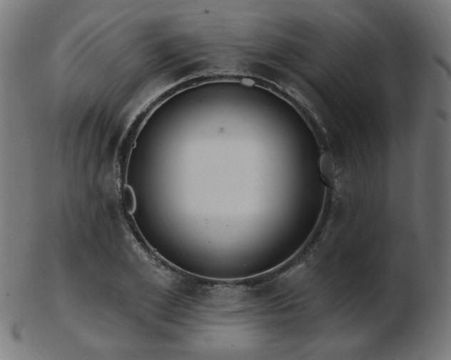 X0000103470981200809121624