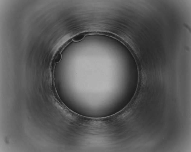 X0000103470982200809121624