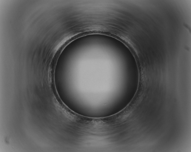 X0000103470983200809121624