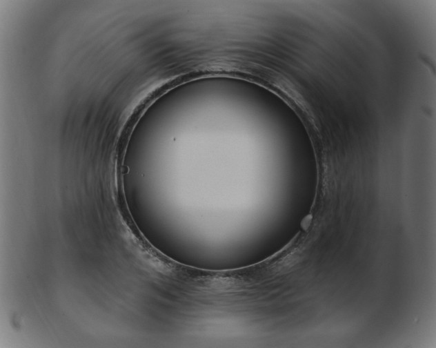 X0000103470984200809121624