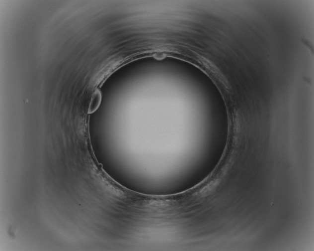 X0000103470985200809121624