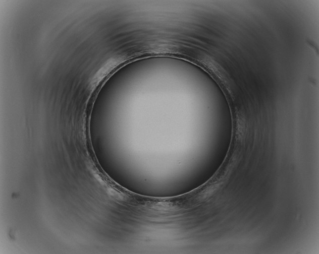 X0000103470986200809121624