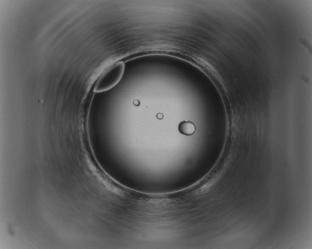 X0000103470989200809121624