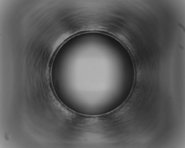 X0000103470990200809121624