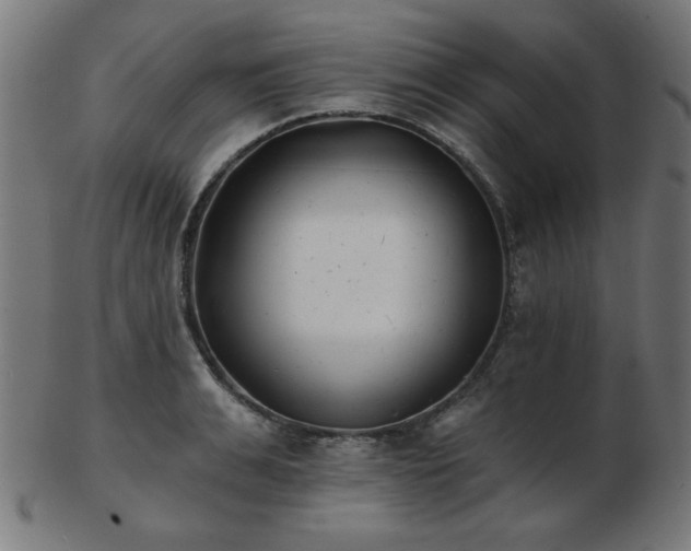 X0000103470991200809121624