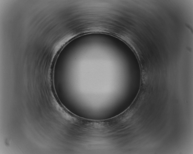 X0000103470995200809121624