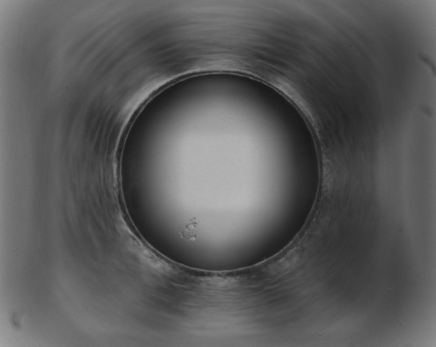 X0000103470996200809121624